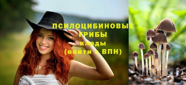 ALPHA PVP Володарск