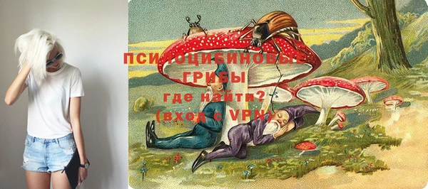 СК Волосово