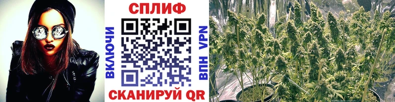 Купить где Мамадыш Бошки марихуана Bruce Banner